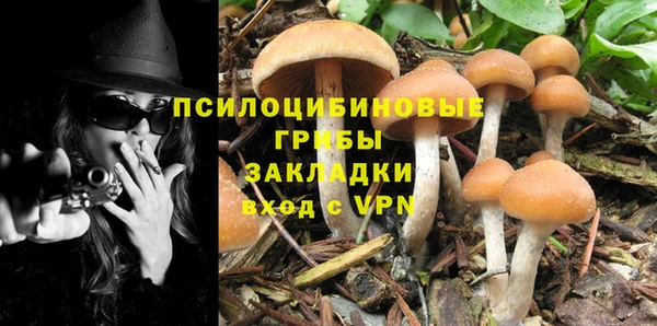 мдпв Нефтегорск