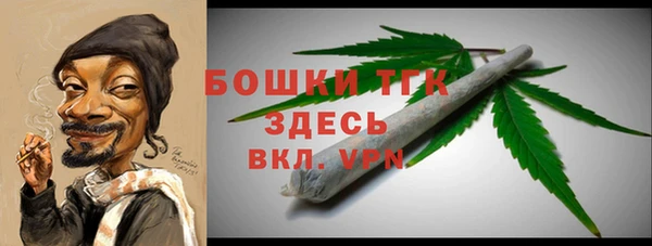 индика Нефтекумск