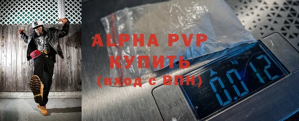 индика Нефтекумск