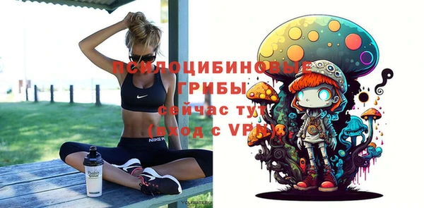мдпв Нефтегорск