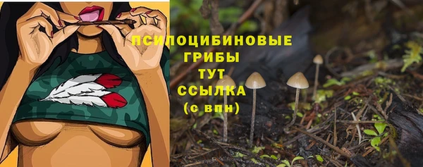 индика Нефтекумск