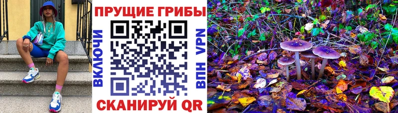 Галлюциногенные грибы Psilocybine cubensis  omg ссылки  Петрозаводск 