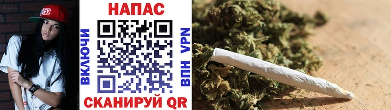 mega сайт  Петрозаводск  Бошки Шишки SATIVA & INDICA  как найти закладки 